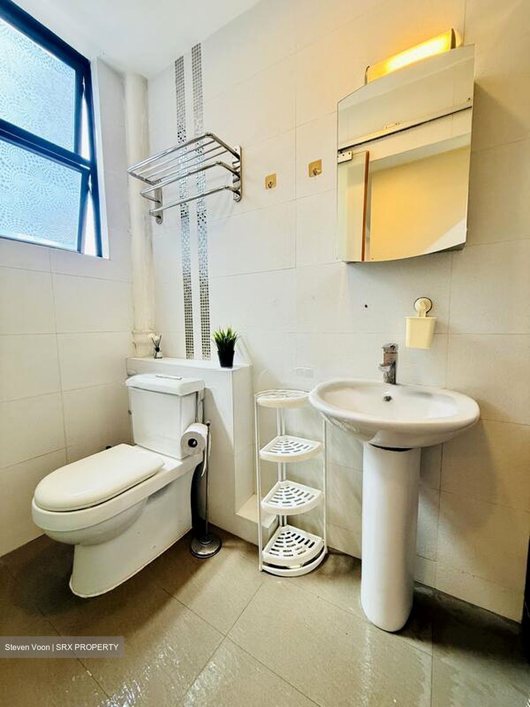 Botanic Gardens View (D10), Apartment #501591811